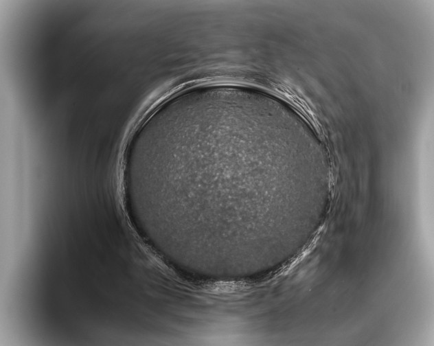 X0000094080101200710191429