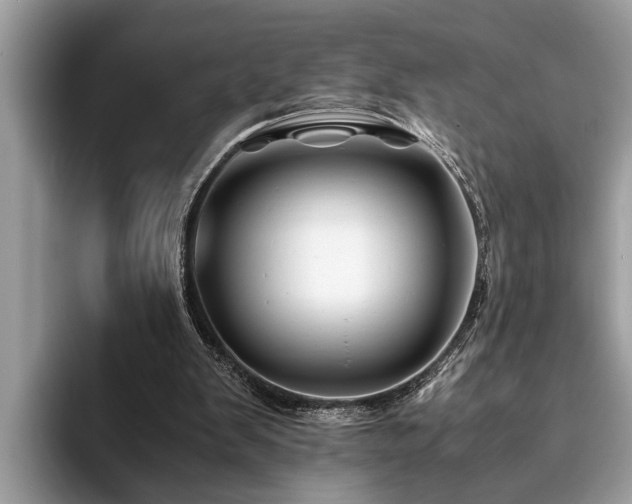 X0000094080103200710191429