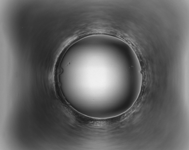 X0000094080104200710191429