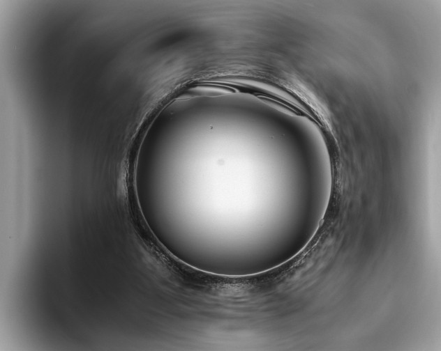 X0000094080107200710191429