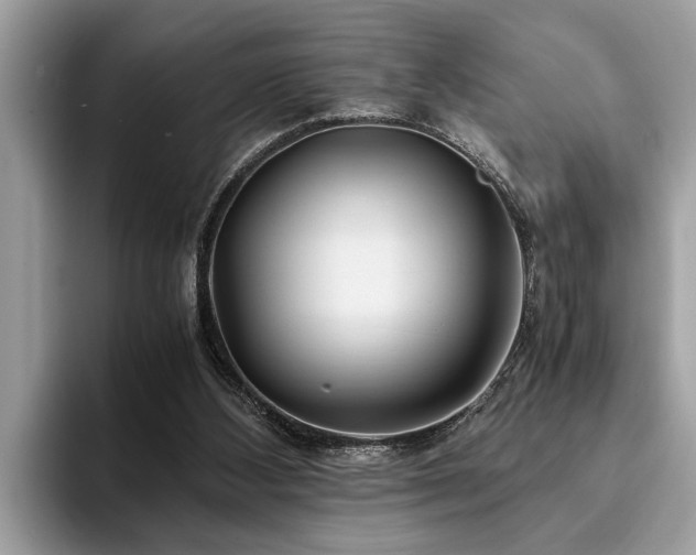 X0000094080108200710191429