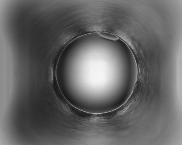 X0000094080109200710191429