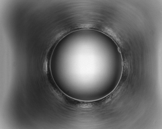 X0000094080110200710191429