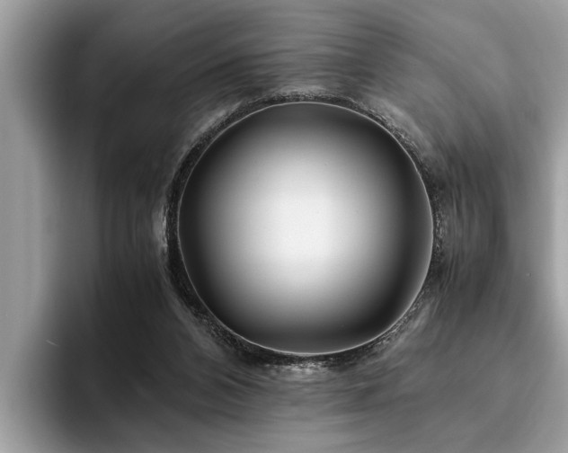 X0000094080112200710191429