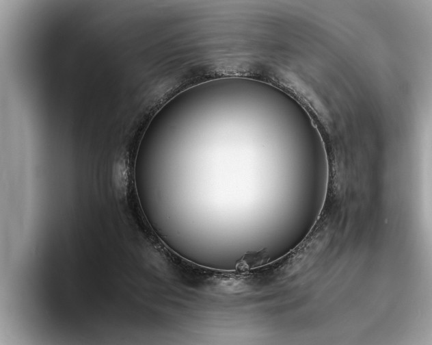 X0000094080113200710191429