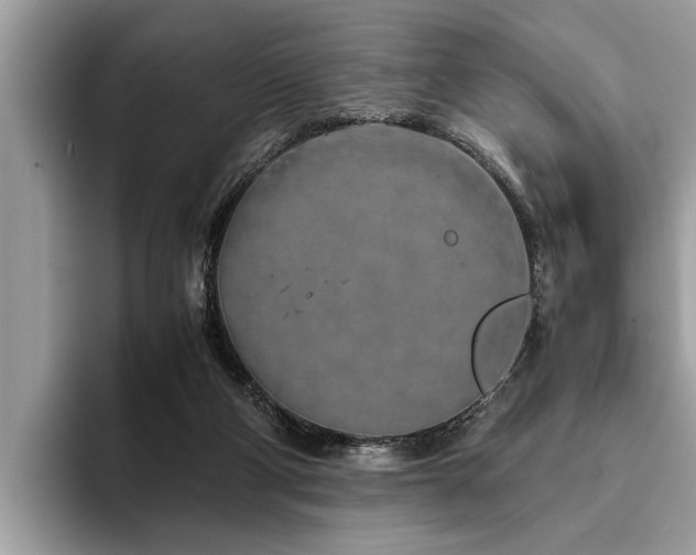 X0000094080114200710191428