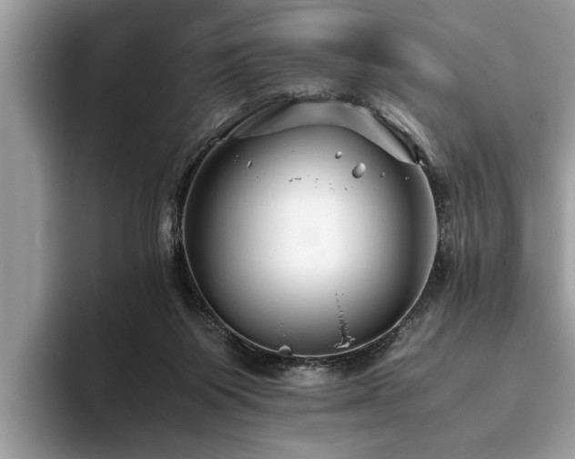 X0000094080119200710191428