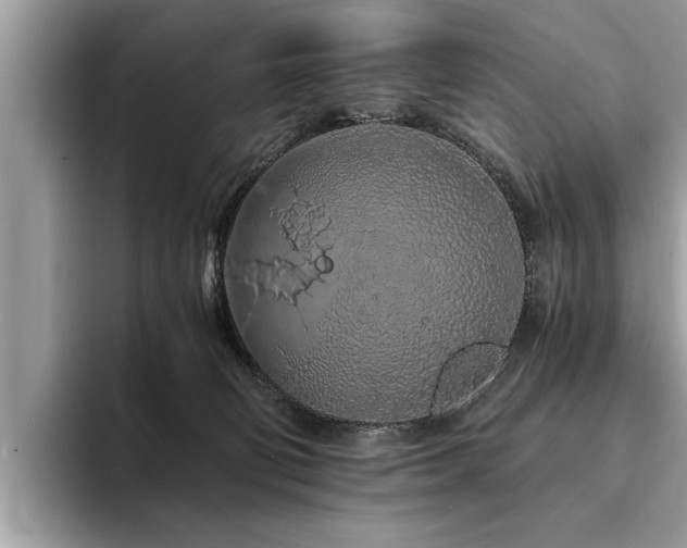 X0000094080130200710191428