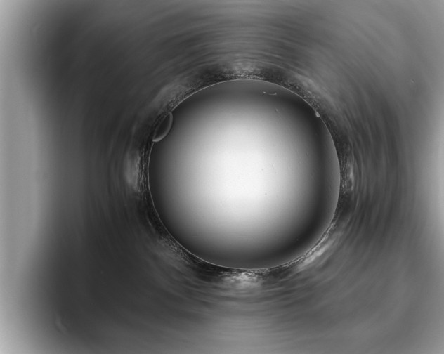 X0000094080140200710191428