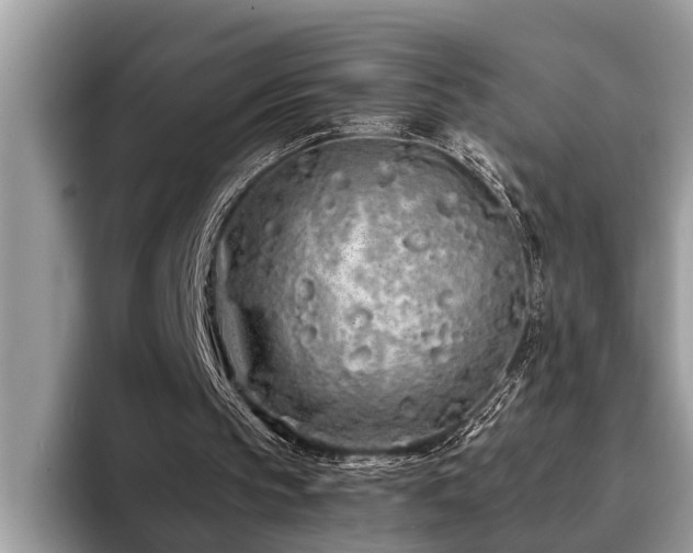 X0000094080145200710191428