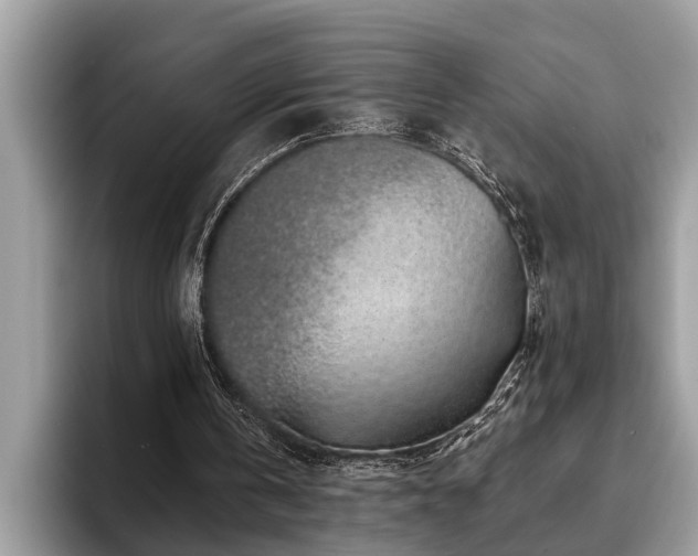 X0000094080146200710191428