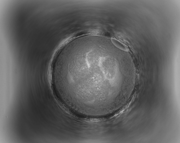 X0000094080149200710191428