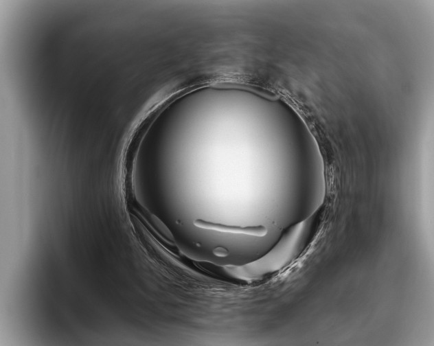 X0000094080150200710191428