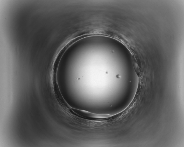 X0000094080152200710191428