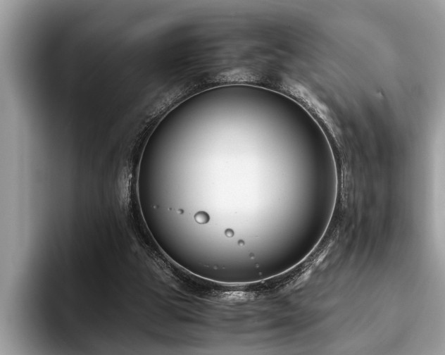 X0000094080153200710191428