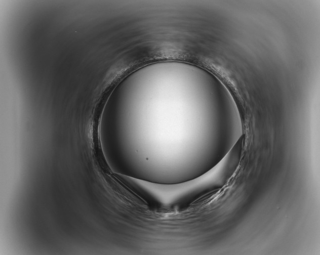 X0000094080154200710191428