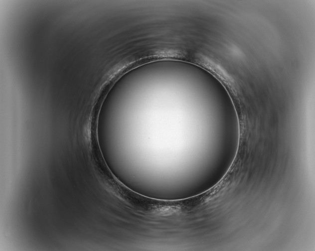 X0000094080155200710191428