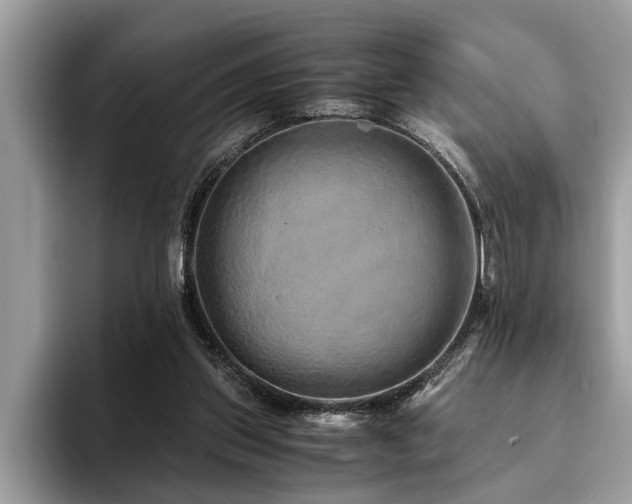 X0000094080157200710191428