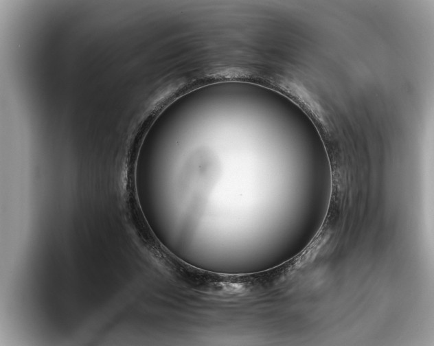 X0000094080159200710191428