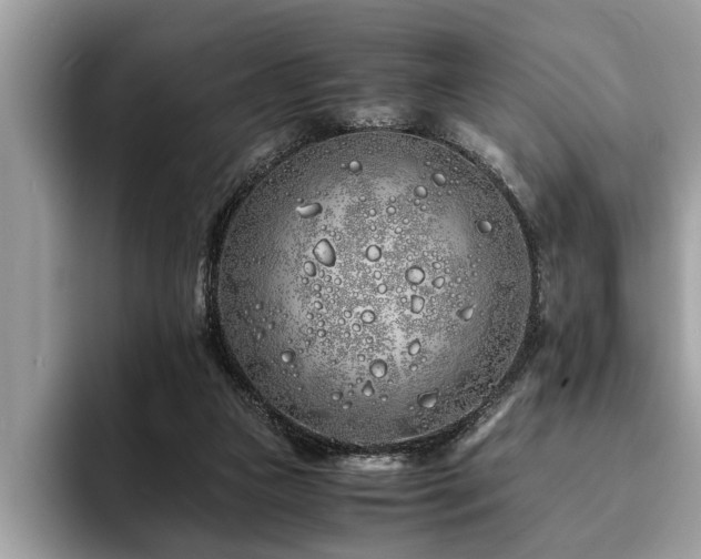 X0000094080161200710191428