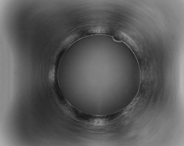 X0000094080163200710191428