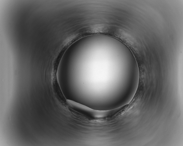 X0000094080164200710191428