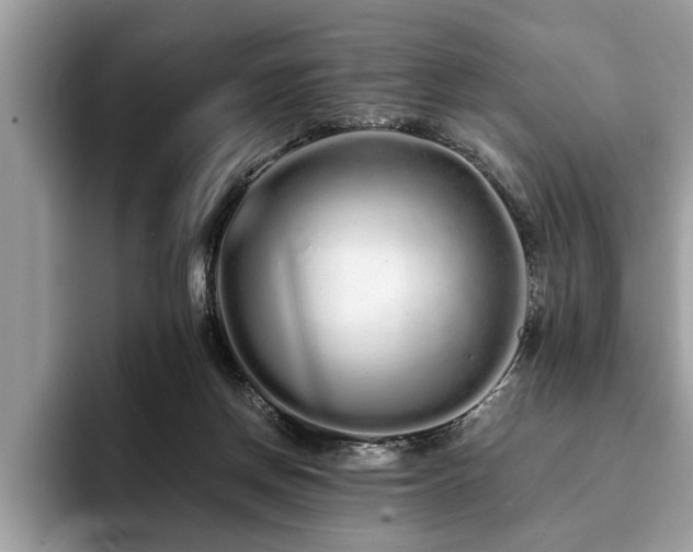 X0000094080166200710191428