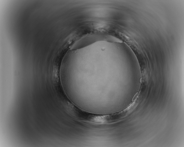 X0000094080178200710191428