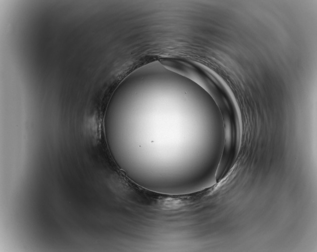 X0000094080180200710191428