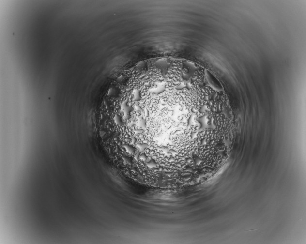 X0000094080182200710191428