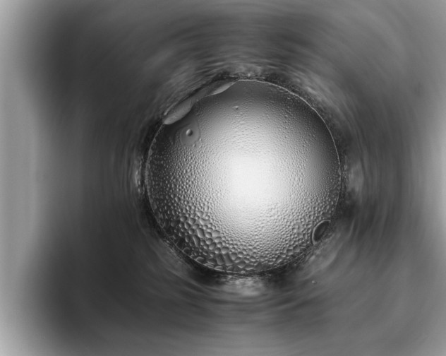 X0000094080185200710191428