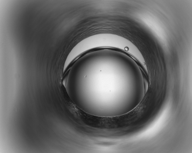 X0000094080190200710191428