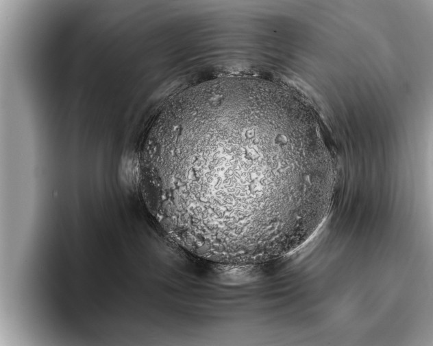 X0000094080191200710191428