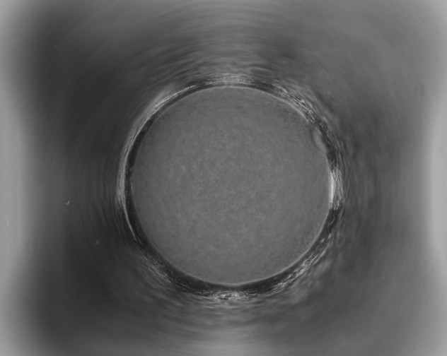 X0000094080195200710191428