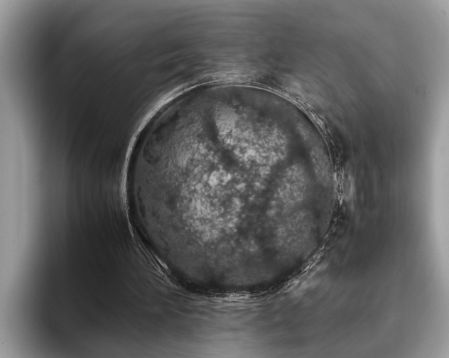 X0000094080196200710191428