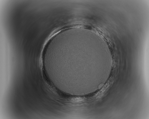 X0000094080198200710191428