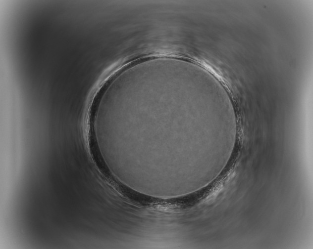 X0000094080199200710191427