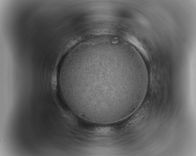 X0000094080202200710191427