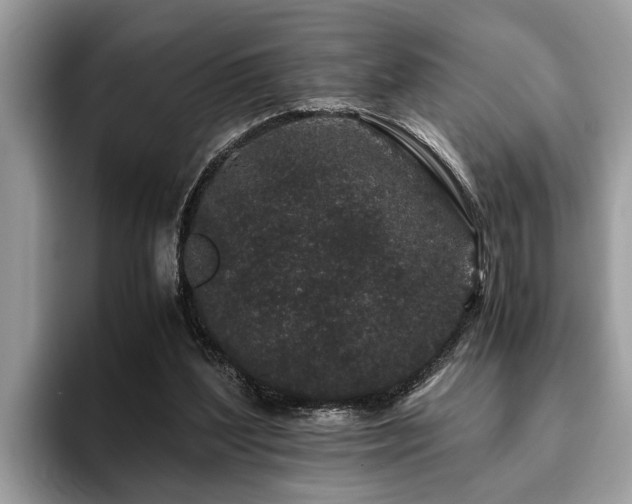 X0000094080204200710191427