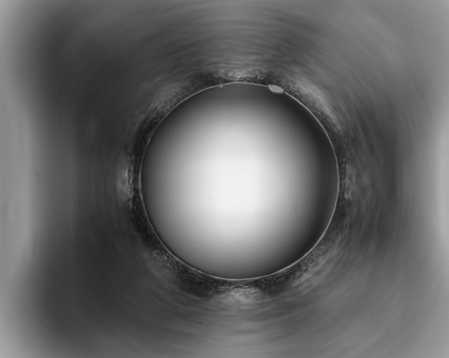 X0000094080210200710191427