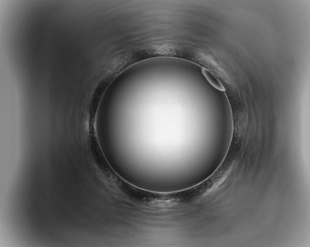 X0000094080213200710191427