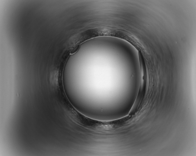 X0000094080217200710191427