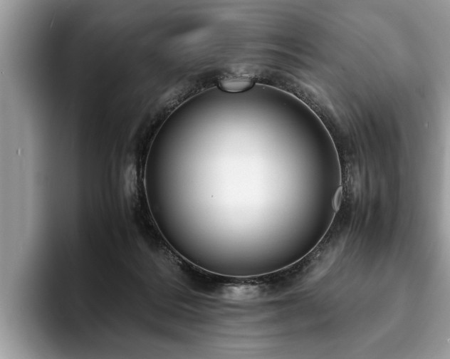 X0000094080220200710191427