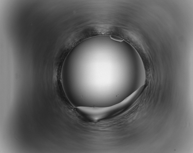 X0000094080221200710191427