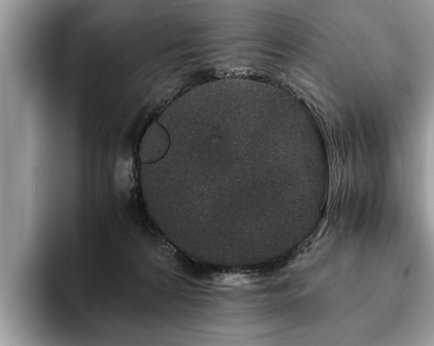 X0000094080224200710191427