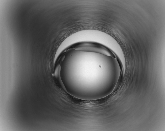 X0000094080229200710191427