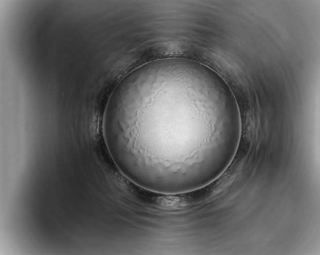 X0000094080230200710191427