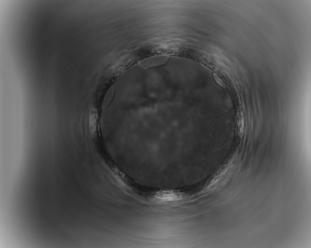 X0000094080231200710191427