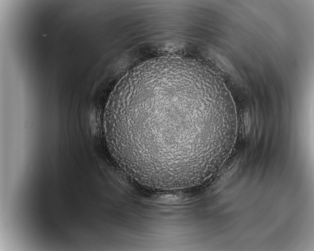 X0000094080236200710191427