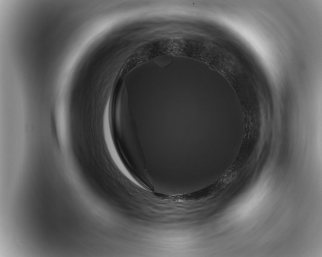 X0000094080239200710191427